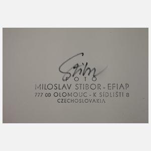 Miroslav Stibor, Konvolut erotische Großfotos