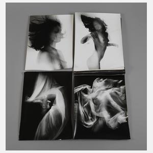 Miroslav Stibor, Konvolut erotische Großfotos