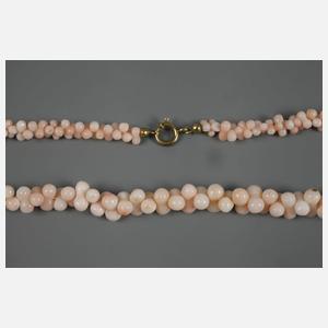 Kette Engelshautkorallen