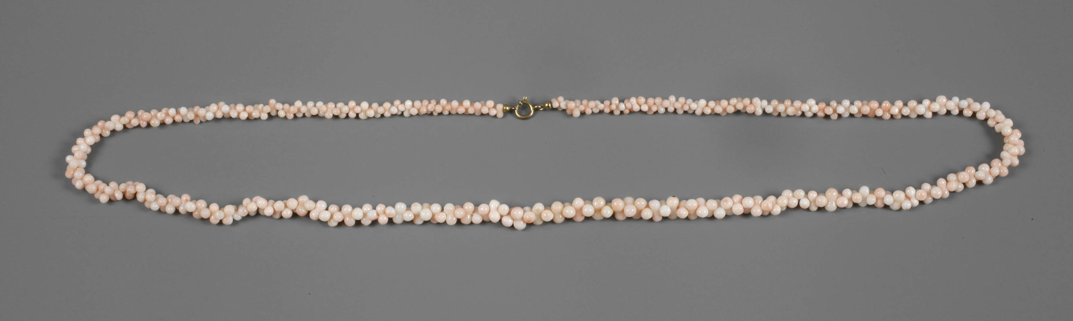 Kette Engelshautkorallen