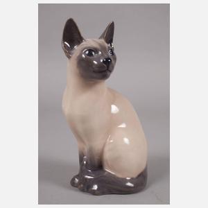 Kopenhagen Siamkatze