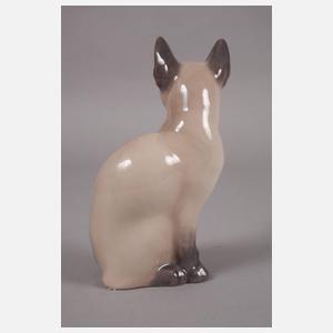 Kopenhagen Siamkatze