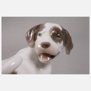 Kopenhagen Pointerwelpe