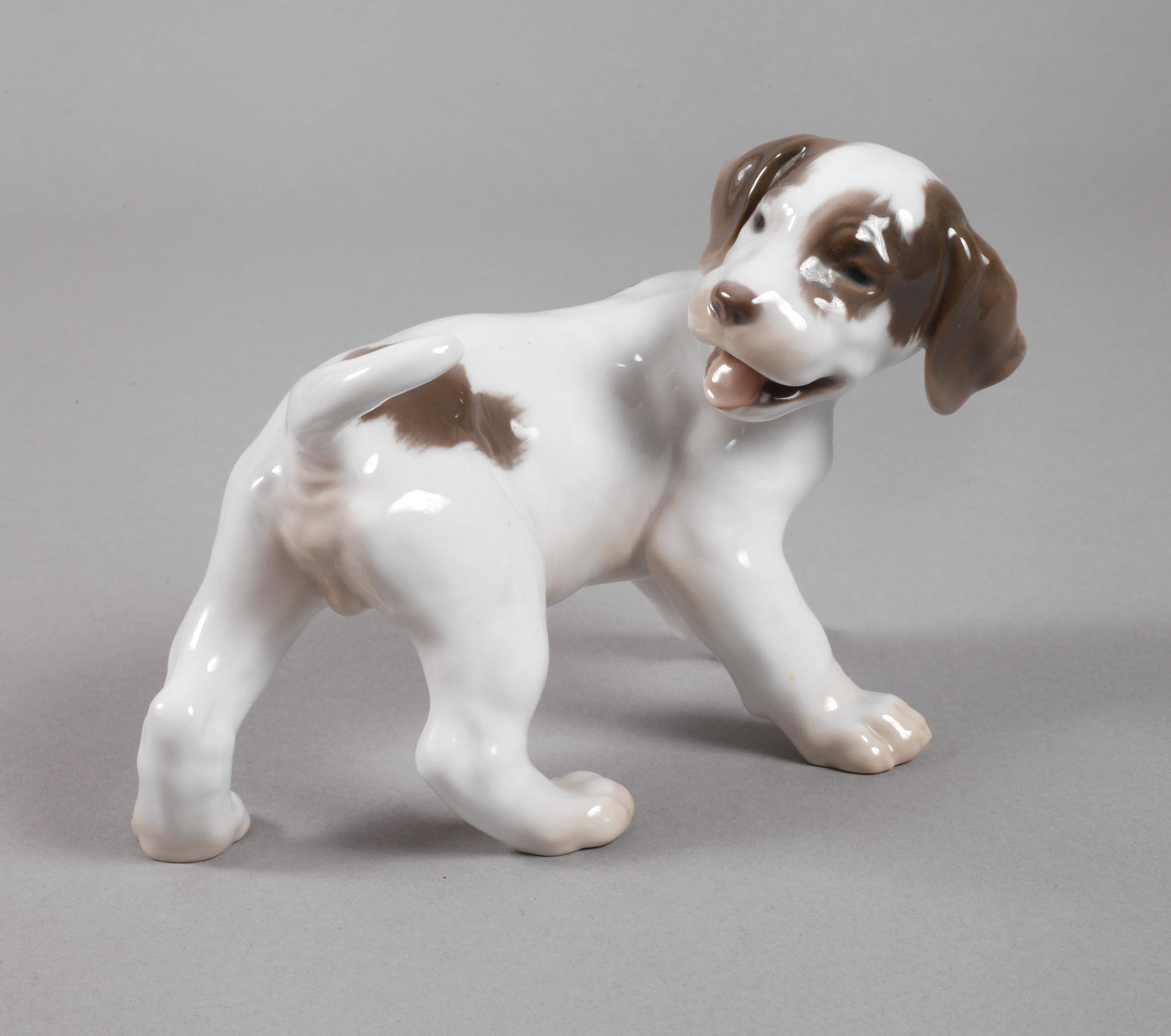 Kopenhagen Pointerwelpe