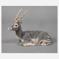 Kopenhagen "Gazelle"111