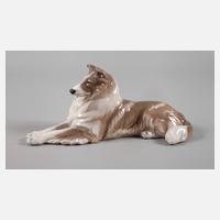 Kopenhagen Langhaarcollie111