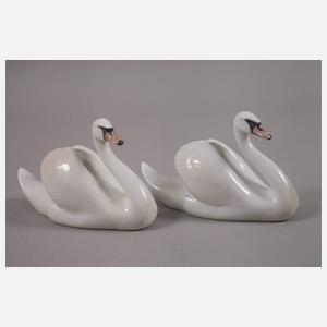 Kopenhagen Paar Schwäne
