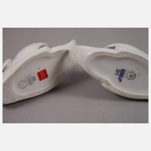 Kopenhagen Paar Schwäne