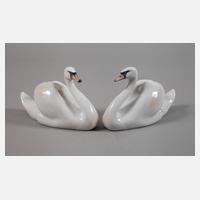 Kopenhagen Paar Schwäne111