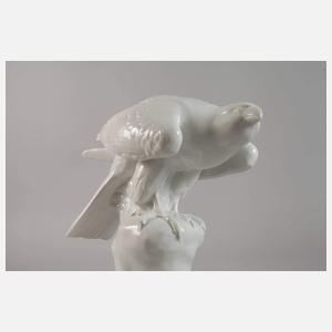 Fraureuth "Edelfalke"