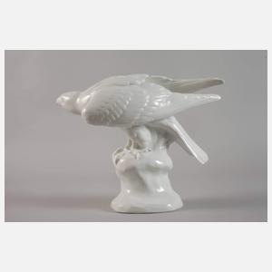 Fraureuth "Edelfalke"