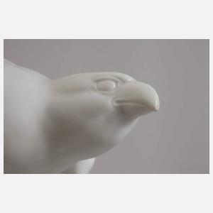 Fraureuth "Edelfalke"