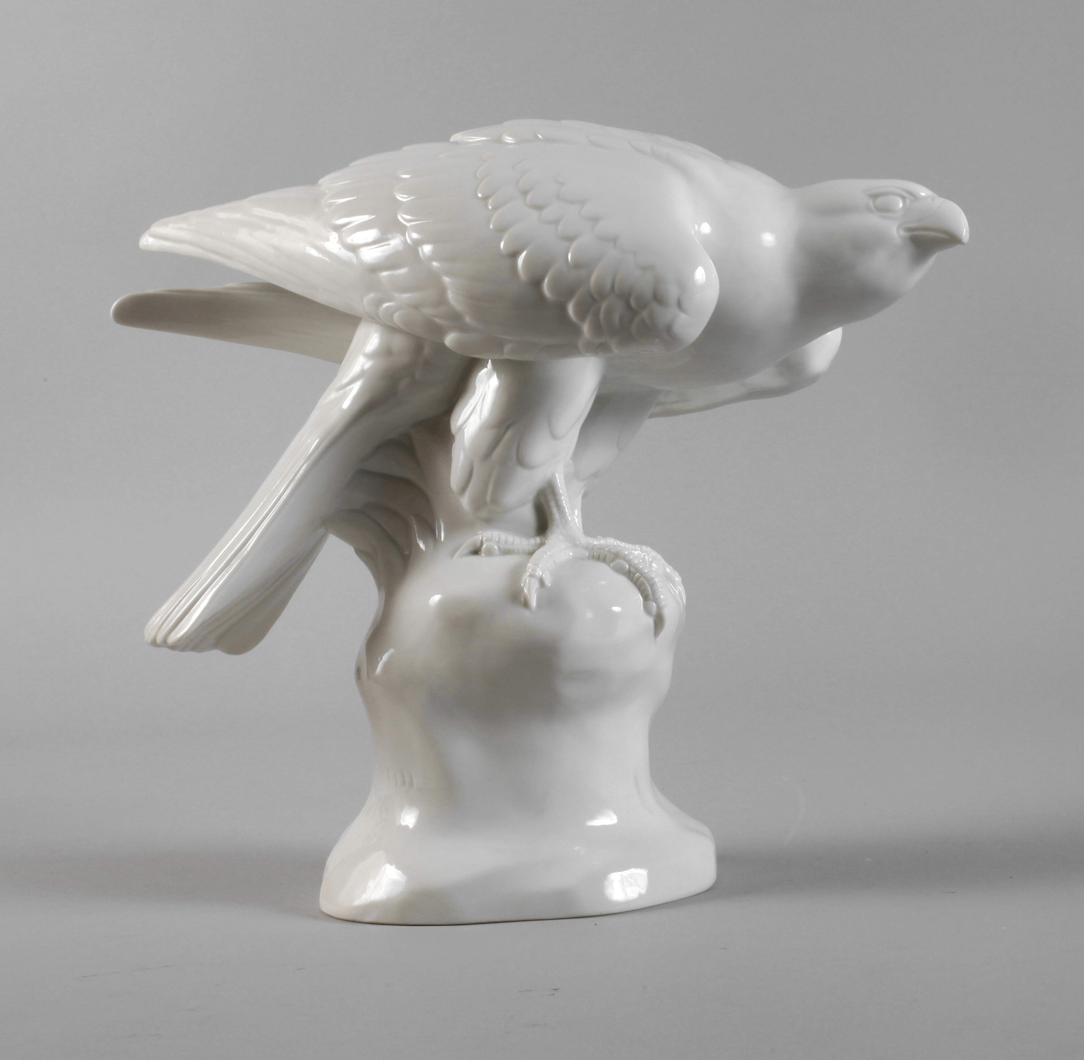 Fraureuth "Edelfalke"