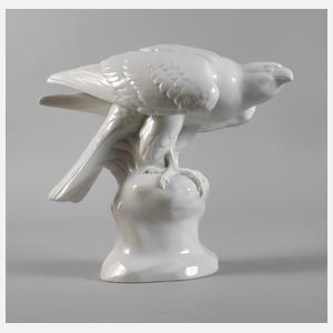 Fraureuth "Edelfalke"