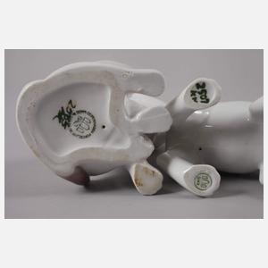 Kopenhagen zwei junge Siamkatzen