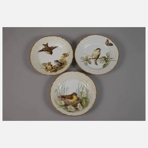 Kopenhagen fünf Dessertteller im Fauna-Danica-Stil