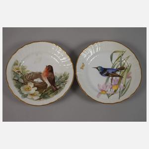 Kopenhagen fünf Dessertteller im Fauna-Danica-Stil