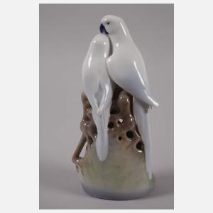 Kopenhagen zwei Vogelpaare