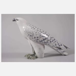 Kopenhagen „Islandfalke“