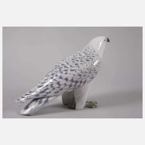 Kopenhagen „Islandfalke“