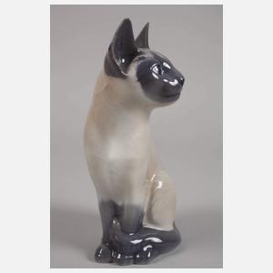 Kopenhagen Siamkatze