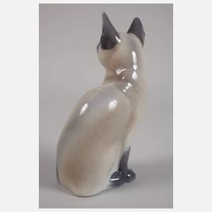 Kopenhagen Siamkatze