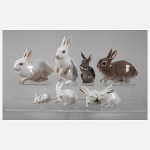 Kopenhagen Sammlung Hasen
