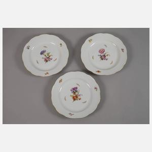 KPM Berlin sechs Speiseteller Blumen und Insekten