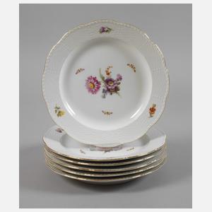 KPM Berlin sechs Speiseteller Blumen und Insekten