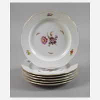 KPM Berlin sechs Speiseteller Blumen und Insekten111