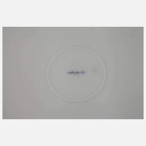 KPM Berlin sechs Speiseteller Blumen und Insekten