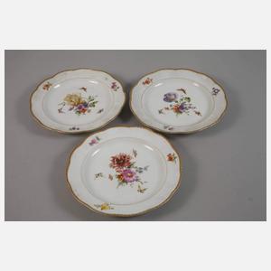 KPM Berlin sechs Speiseteller Blumen und Insekten