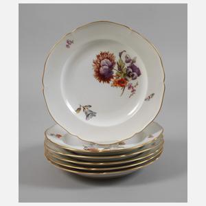 KPM Berlin sechs Speiseteller Weichmalerei