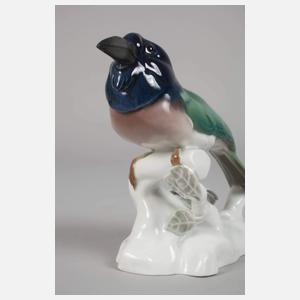 KPM Berlin Grünhäher