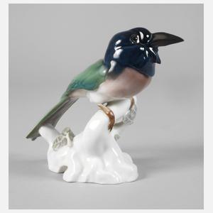 KPM Berlin Grünhäher