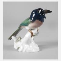 KPM Berlin Grünhäher111