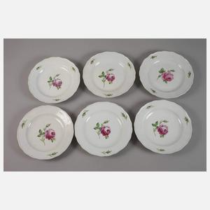 Meissen Konvolut Teller und Schalen "Rote Rose"
