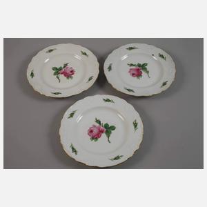 Meissen sieben Kuchenteller "Rote Rose"
