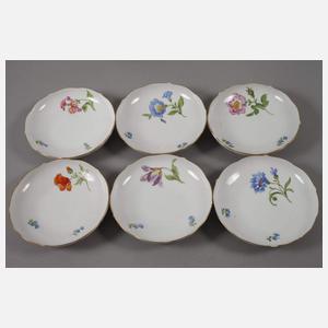 Meissen Kaffeeservice "Blume 1"