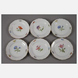 Meissen Kaffeeservice "Blume 1"