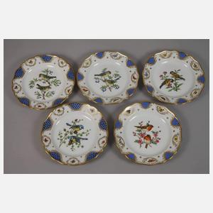 Meissen fünf Teller und Platte Vogelmalerei