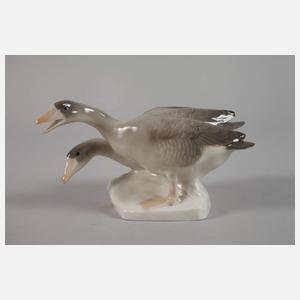 Rörstrand Schweden Graugänsepaar