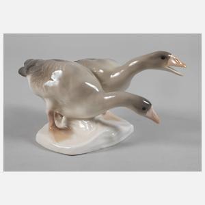 Rörstrand Schweden Graugänsepaar