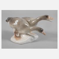 Rörstrand Schweden Graugänsepaar111