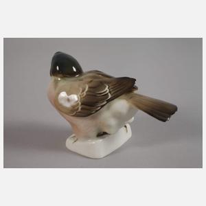 Rörstrand Schweden Sperling