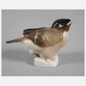 Rörstrand Schweden Sperling