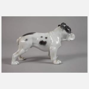 Rosenthal "Englische Bulldogge"