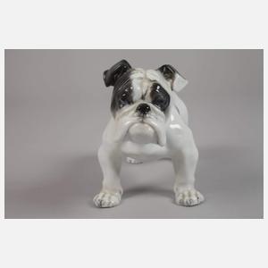 Rosenthal "Englische Bulldogge"