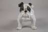Rosenthal "Englische Bulldogge"