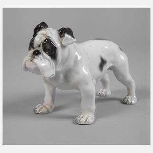Rosenthal "Englische Bulldogge"